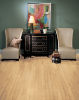 Picture of Bruce - Turlington American Exotics 5 Densitek Natural Birch