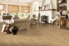 Picture of Bruce - Turlington American Exotics 5 Densitek Natural Birch