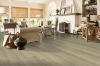 Picture of Bruce - Lifeseal Reserve Plank Studio Tan