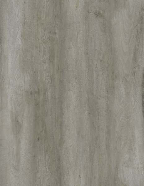 Picture of EJ Welch - Gravity Plus New York