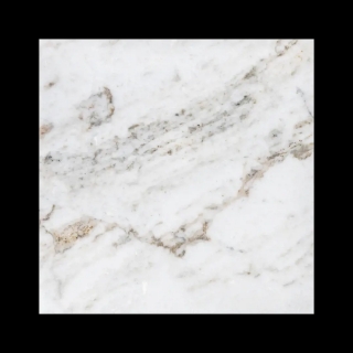 Picture of Elon Tile & Stone - Marble 12 x 12 Bianco Oro Honed