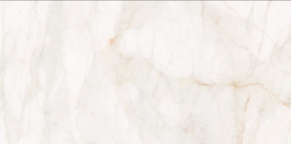 Picture of Roca - Marble Dolomita 12 x 24 Dolomita
