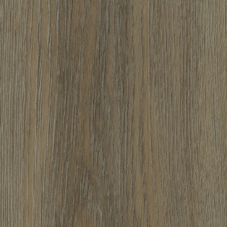Picture of EarthWerks - Stadium Plus XL Victory