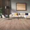 Picture of EarthWerks - Parkhill EIR Plus Grove Park