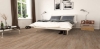 Picture of EarthWerks - Parkhill EIR Plus Grove Park