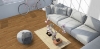 Picture of EarthWerks - Triplex Harrisburg