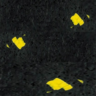 Picture of Amorim - Standard Sports Floor 1/4 20% Yellow