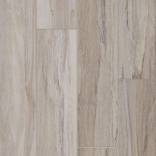 Picture of Mannington - Adura Max Apex Spalted Wych Elm Dew