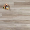 Picture of Mannington - Adura Max Apex Spalted Wych Elm Dew