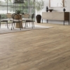 Picture of Mannington - Adura Max Plank Coventry Prairie