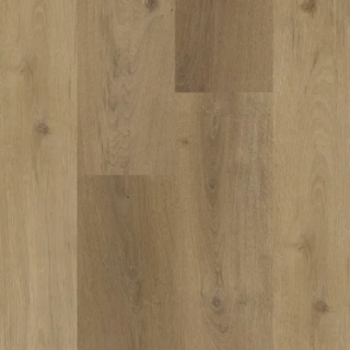 Picture of Legendary Floors - Kingsport Meadow