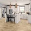 Picture of Mannington - Realta Plank SPC Scandinavian Oak Natural