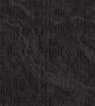 Picture of Philadelphia Commercial by Shaw - Inked Black Carbon