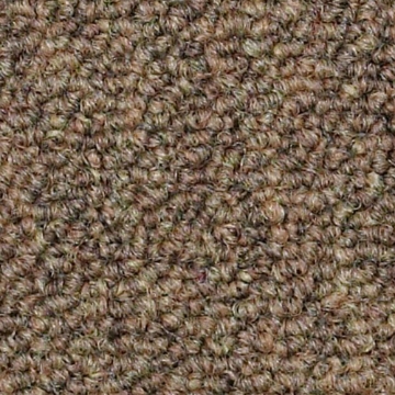 Picture of Philadelphia Commercial by Shaw - SP310 Contract
