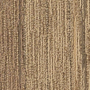 Picture of Philadelphia Commercial by Shaw - SP252 Bond