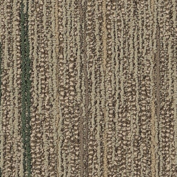 Picture of Philadelphia Commercial by Shaw - SP252 Combine