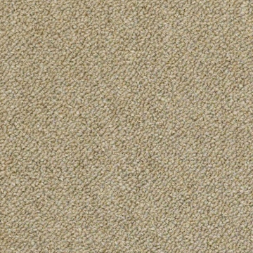 Picture of Philadelphia Commercial by Shaw - SP714 Copy Cat