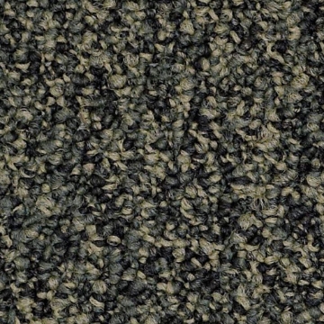 Picture of Philadelphia Commercial by Shaw - SP405 Boundless