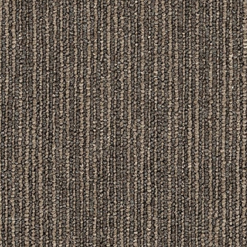 Picture of Philadelphia Commercial by Shaw - SP736 Smarts
