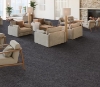 Picture of Philadelphia Commercial by Shaw - Mottled Nordic Shadow