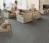 Picture of Philadelphia Commercial by Shaw - Mottled Spray Mist