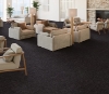 Picture of Philadelphia Commercial by Shaw - Mottled Black Carbon