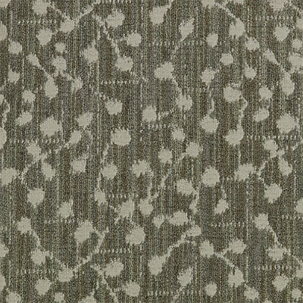 Picture of Mannington - Squareberry II Spruce