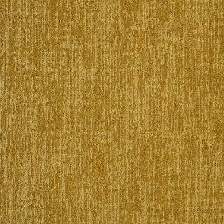 Picture of Mannington - Transmit Subscribe