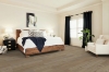 Picture of Shaw Floors - Paladin Plus Driftwood
