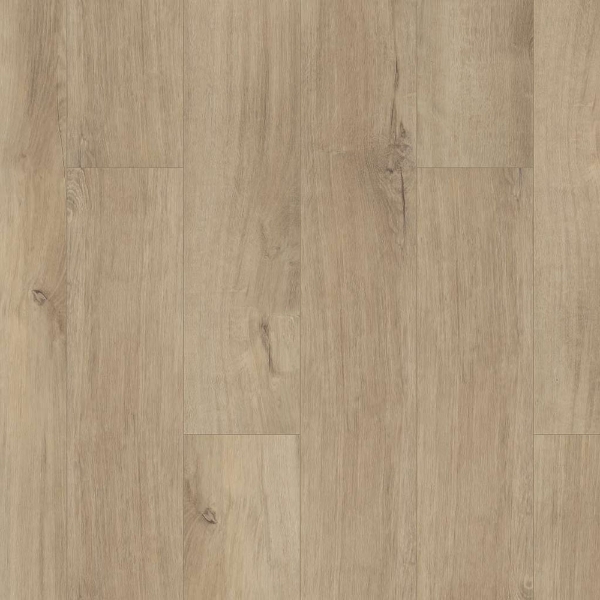 Picture of Shaw Floors - Paladin Plus Marina