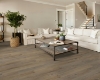 Picture of Shaw Floors - Paladin Plus Wild Dunes