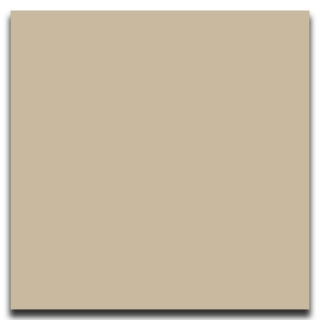 Picture of Johnsonite - Solid Colors Smooth 24 x 24 Clay