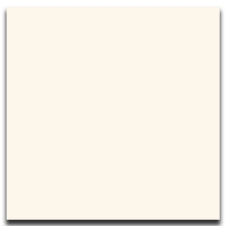 Picture of Johnsonite - Solid Colors Smooth 24 x 24 Snow White