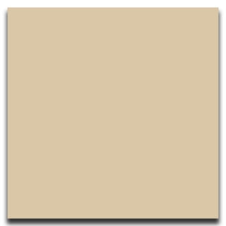 Picture of Johnsonite - Solid Colors Smooth 24 x 24 Silk