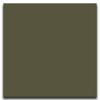 Picture of Johnsonite - Solid Colors Smooth 24 x 24 Boxwood