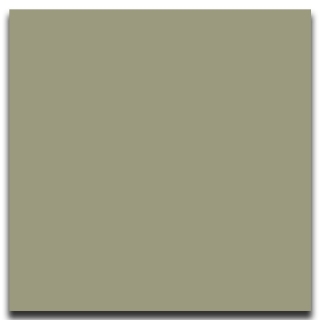 Picture of Johnsonite - Solid Colors Smooth 24 x 24 Gecko
