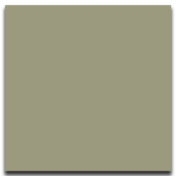 Picture of Johnsonite - Solid Colors Smooth 24 x 24 Gecko