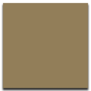 Picture of Johnsonite - Solid Colors Smooth 24 x 24 Sandalwood