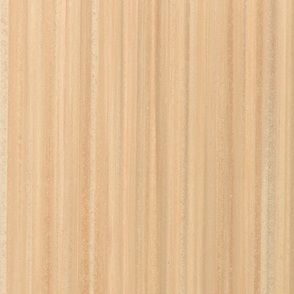 Picture of Toli International - Terraline Amber