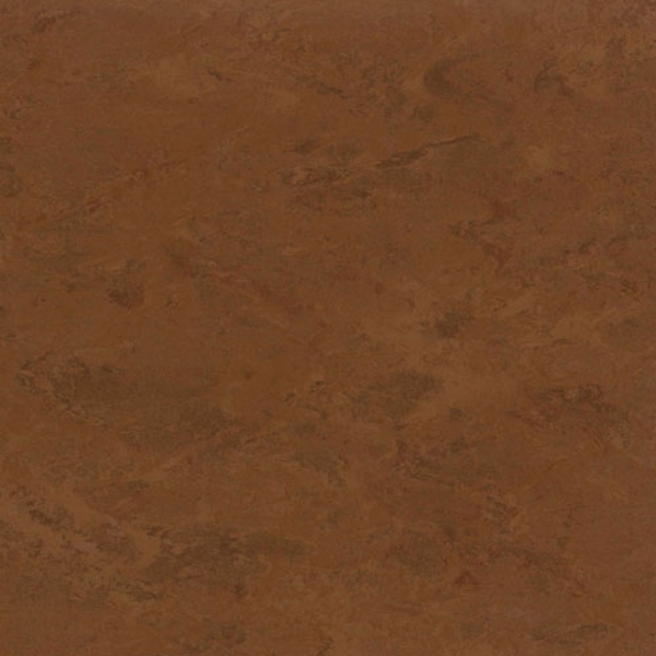 Picture of Toli International - Fasolplus Coppertone