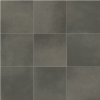 Picture of Daltile - Volume 1.0 12 x 12 Intensity Pebbl