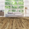 Picture of Lifecore - Allegra Clarity