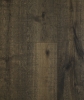 Picture of Lifecore - Anton Praise Worthy