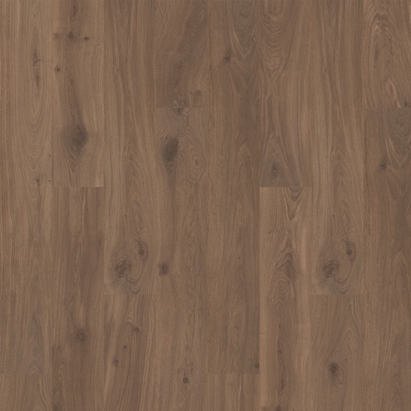 Picture of Quick-Step - Ellicott Point Leatherbound Oak