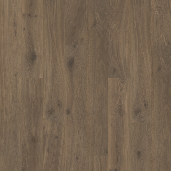Picture of Quick-Step - Ellicott Point Bookcase Oak