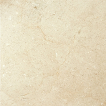 Picture of Emser Tile - Marble 24 x 24 Polished Crema Marfil Plus