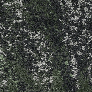 Picture of Shaw Floors - Beyond Tile Moss