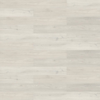 Picture of Shaw Floors - Branching Out 5mm Rise Oak