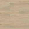 Picture of Shaw Floors - Branching Out Coretec 12MIL Plains Oak
