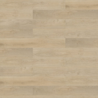 Picture of Shaw Floors - Branching Out Coretec 12MIL Plains Oak